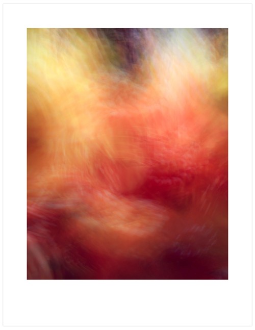 Orchid-Impressions-G